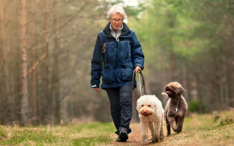 Dogs can motivate their owners to stay active.