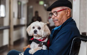 How dogs can provide emotional support during difficult times
