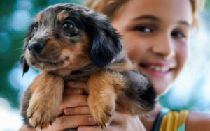 Owning a dog can teach children and adults valuable life skills