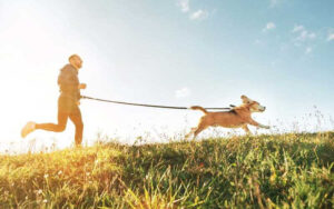Owning a dog encourages regular physical activity due to their exercise needs