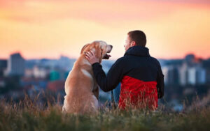 The Remarkable Benefits of Having a Dog