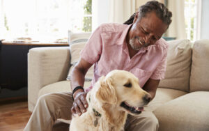 The positive impact of dog ownership on mental health